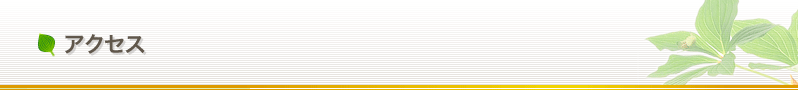 �A�N�Z�X